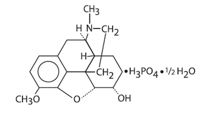 structure.jpg