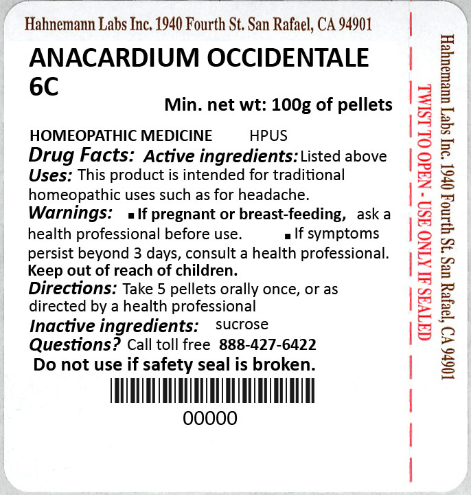 Anacardium Occidentale 6C 100g