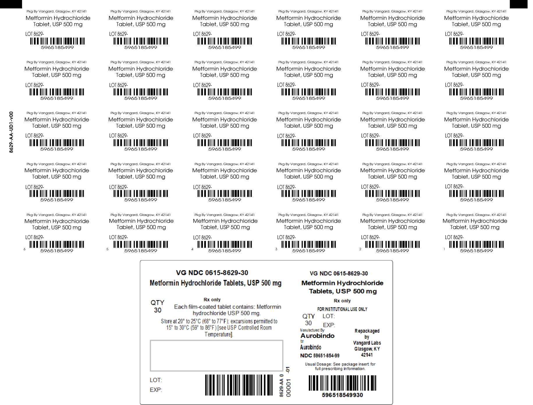 PRINCIPAL DISPLAY PANEL