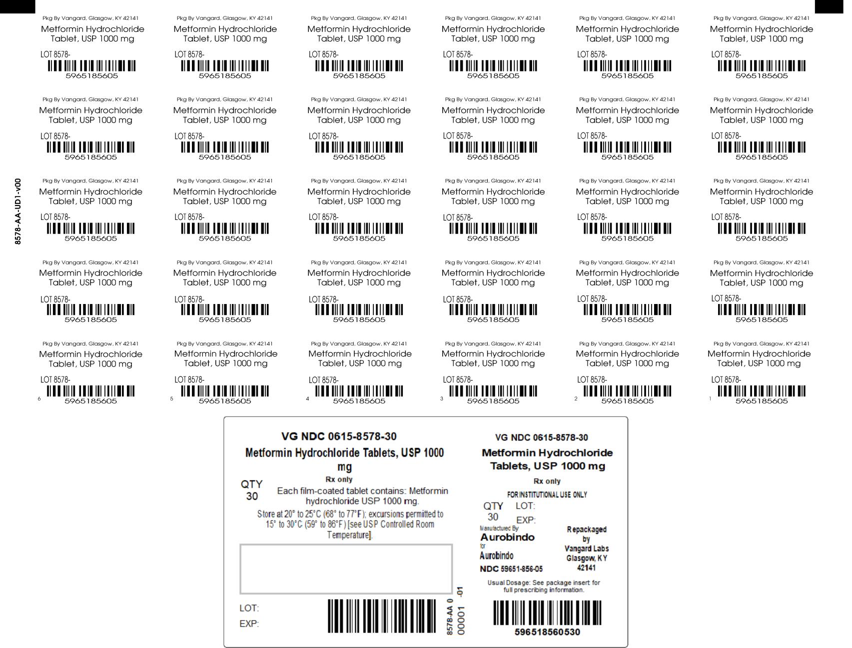 PRINCIPAL DISPLAY PANEL