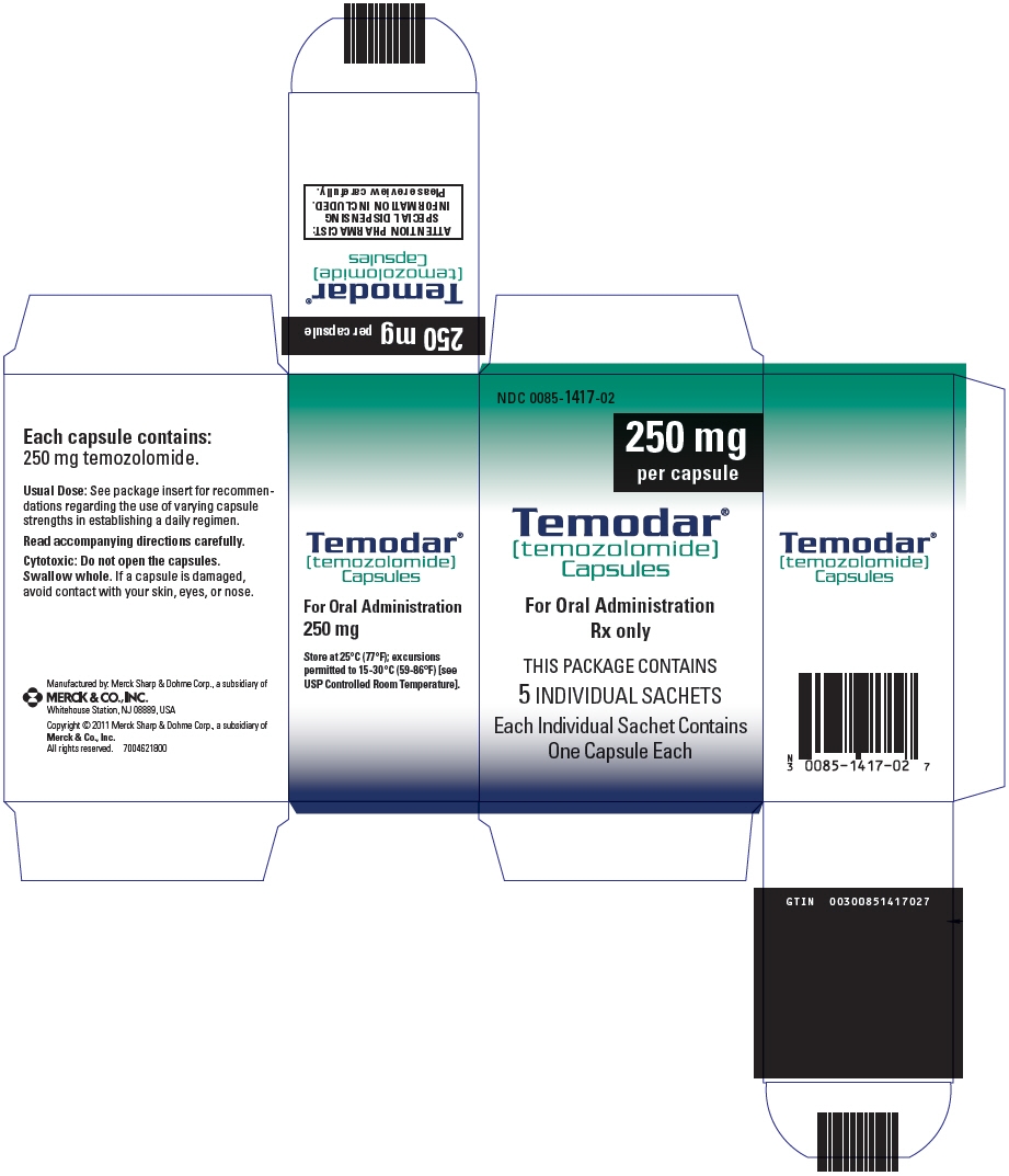 PRINCIPAL DISPLAY PANEL - 250 mg Capsule Sachet Carton