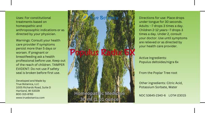 Populus Radix 6X