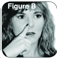 Figure B