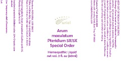 Arum Maculatum Pteridium 5.5 Special Order