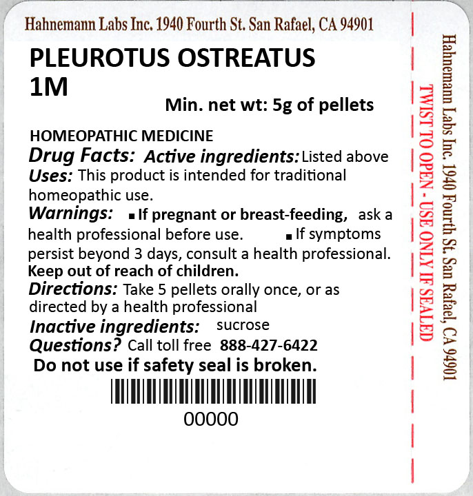 Pleurotus Ostreatus 1M 5g