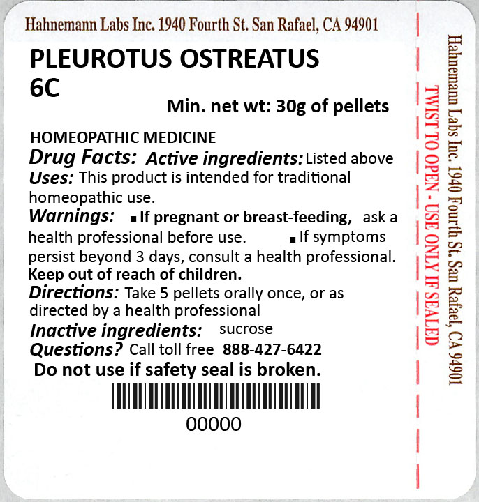 Pleurotus Ostreatus 6C 30g