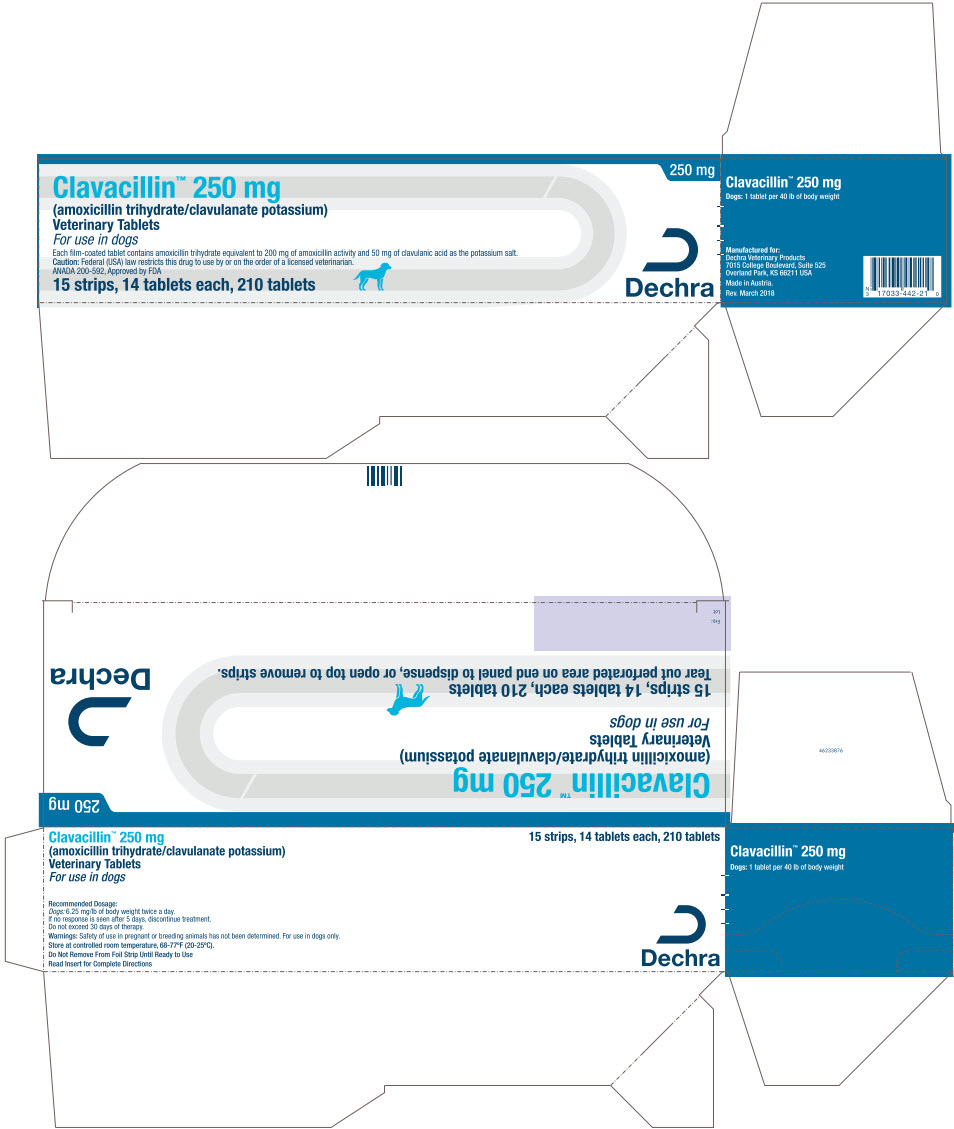 PRINCIPAL DISPLAY PANEL - 250 mg Tablet Blister Pack Carton
