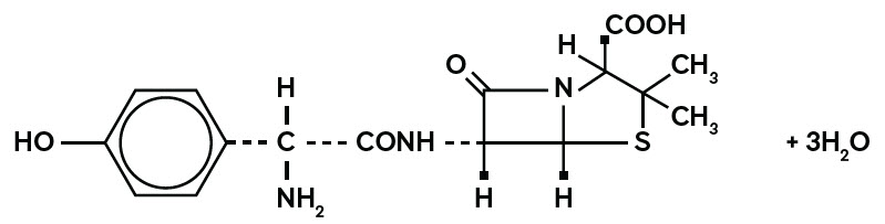 amoxicillin trihydrate structural formula image