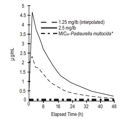 Figure 2 .jpg