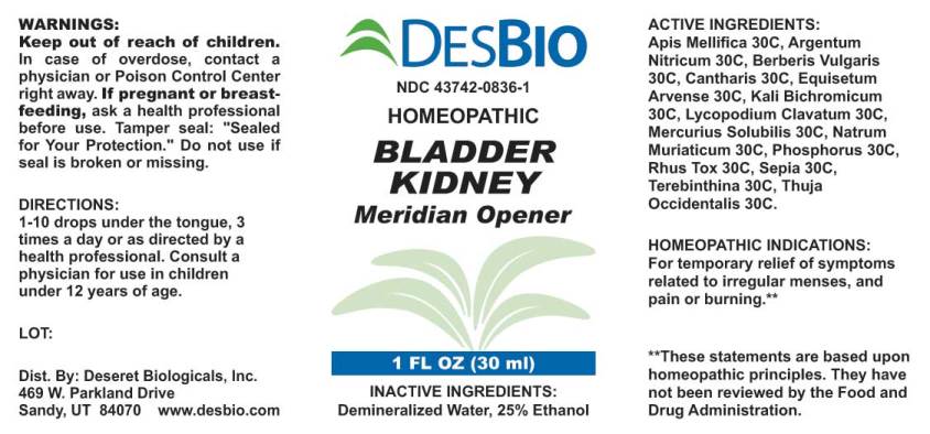 Bladder Kidney Meridian Opener