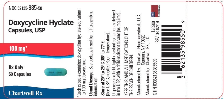 PRINCIPAL DISPLAY PANEL - 100 mg Capsule Bottle Label