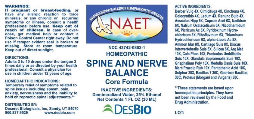 Spine and Nerve Balance CF