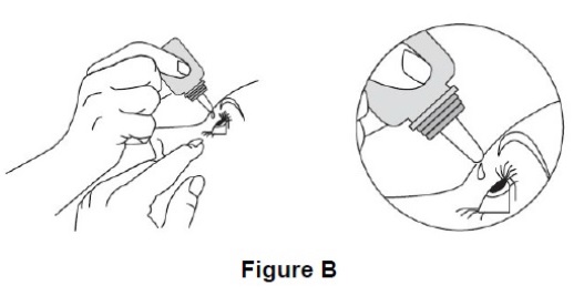 Fig-B