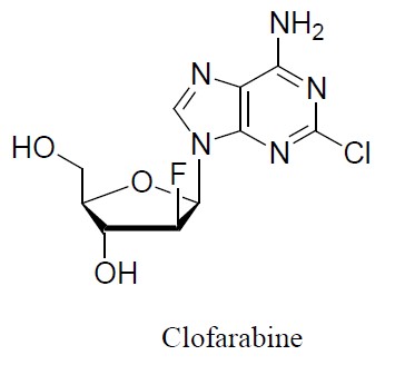 structure-clofarabine