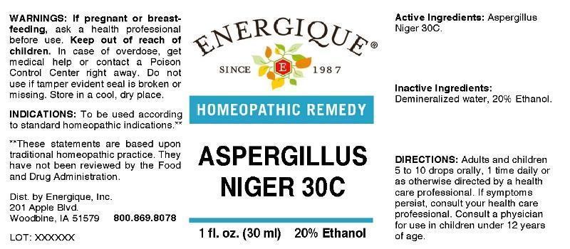 Aspergillus Niger 30C