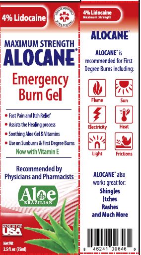 Alocane Maximum Strength Emergency Burn Gel, 2.5 fl oz, 2 count