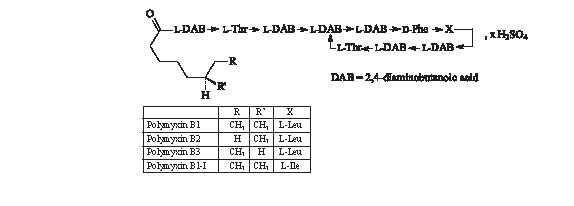 
polymyxinb
