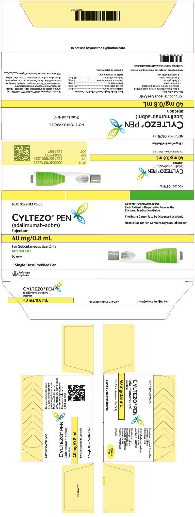 PRINCIPAL DISPLAY PANEL - Kit Carton - 0597-0375-53