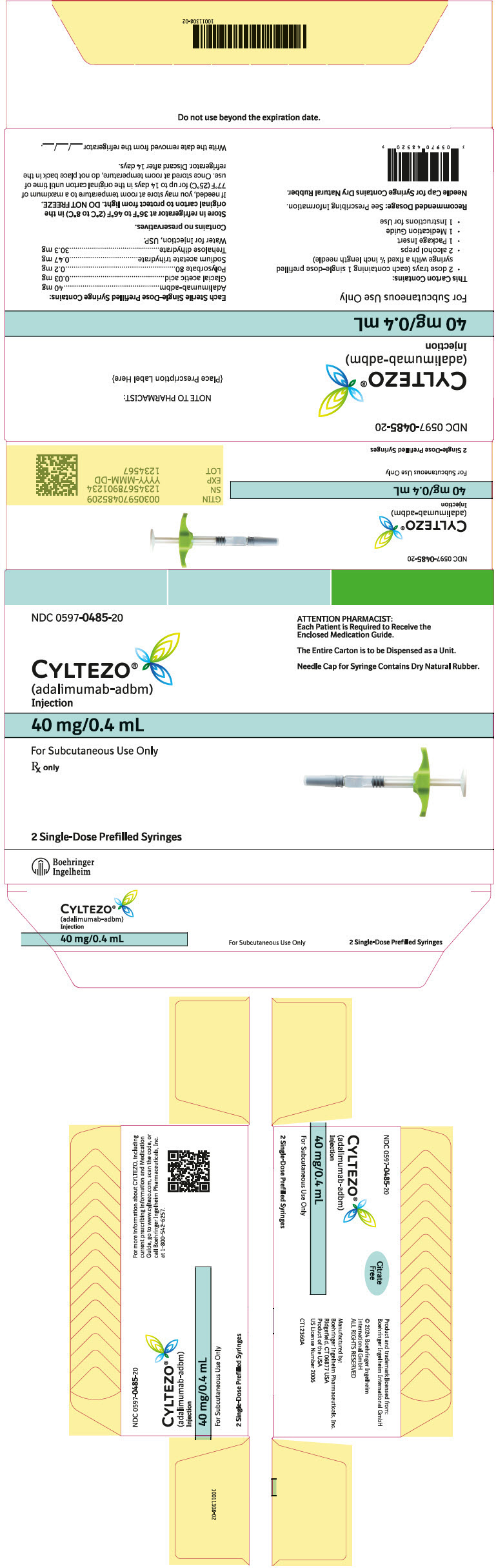 PRINCIPAL DISPLAY PANEL - Kit Carton - 0597-0485-20