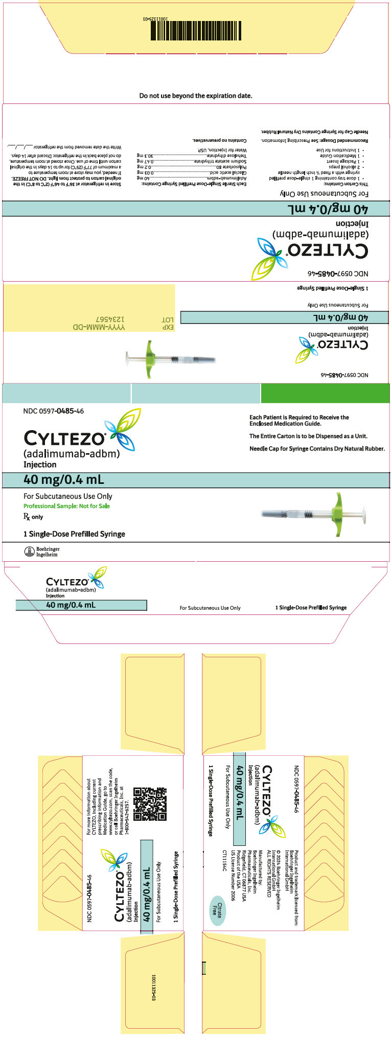 PRINCIPAL DISPLAY PANEL - Kit Carton - 0597-0485-46