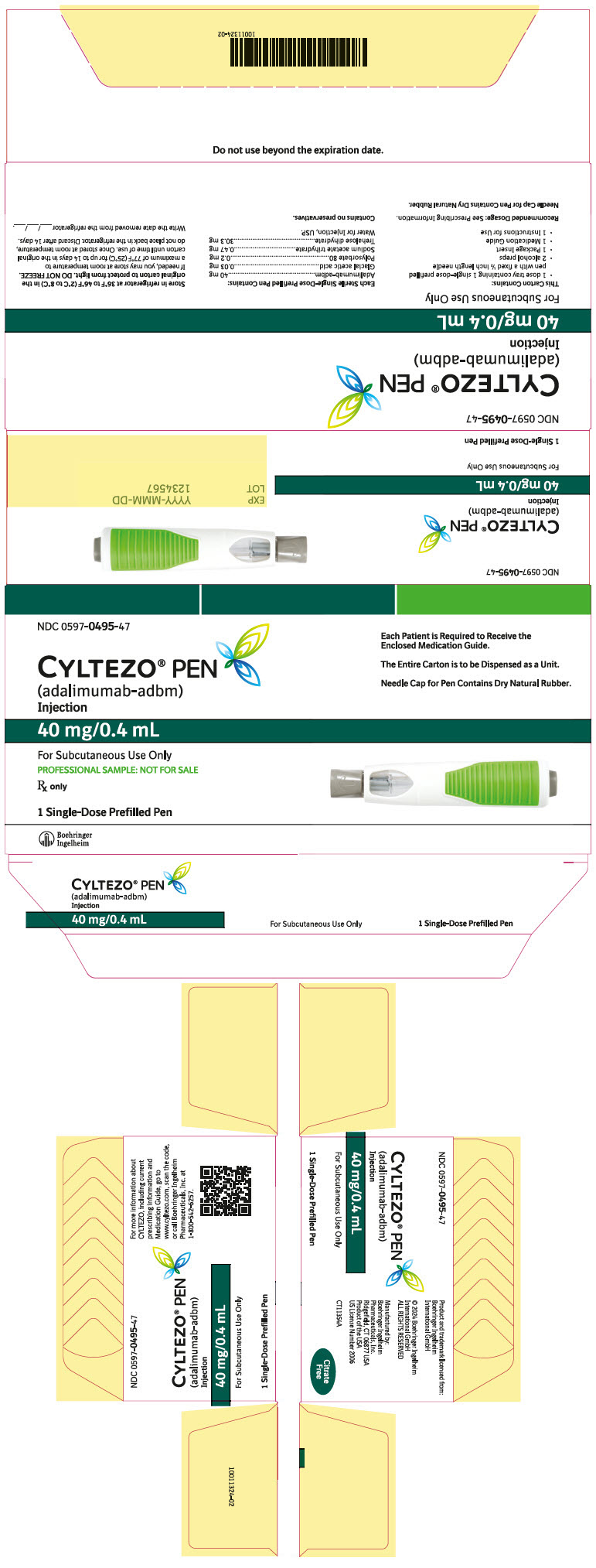 PRINCIPAL DISPLAY PANEL - Kit Carton - 0597-0495-47