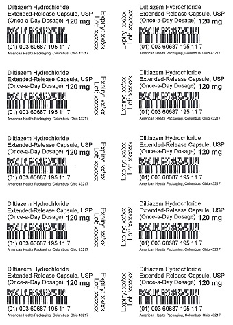 120 mg Diltiazem HCl ER Capsule Blister