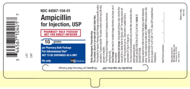Ampicillin 10 g vial label