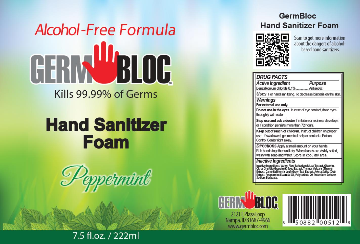 PRINCIPAL DISPLAY PANEL
Alcohol-Free Formula
GERM BLOCTM
Kills 99.99% of Germs
Hand Sanitizer 
Foam
Peppermint
7.5 fl. oz. / 222 ml
