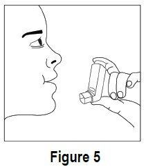 figure5