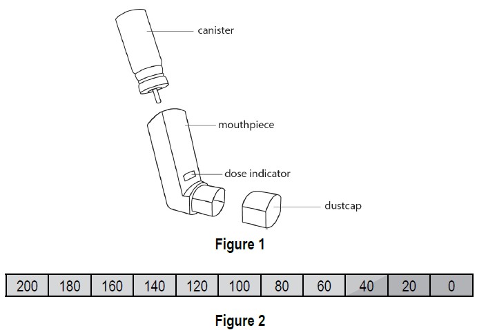 figure1and2