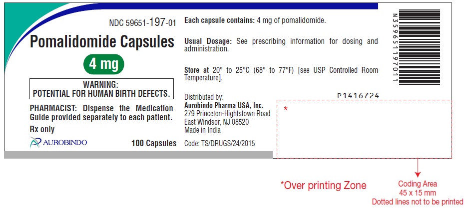 PACKAGE LABEL-PRINCIPAL DISPLAY PANEL - 4 mg (100 Capsules Bottle)