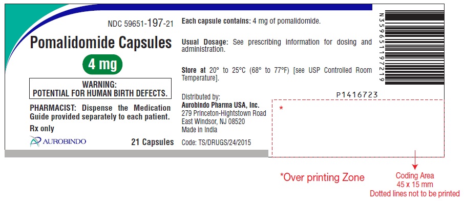 PACKAGE LABEL-PRINCIPAL DISPLAY PANEL - 4 mg (21 Capsules Bottle)
