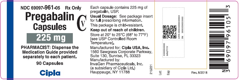 PRINCIPAL DISPLAY PANEL - 225 mg 