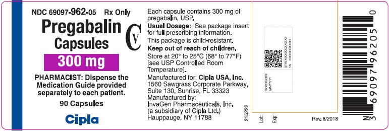 PRINCIPAL DISPLAY PANEL - 300 mg 