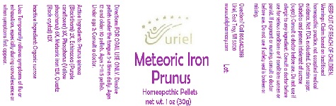 Meteoric Iron Prunus