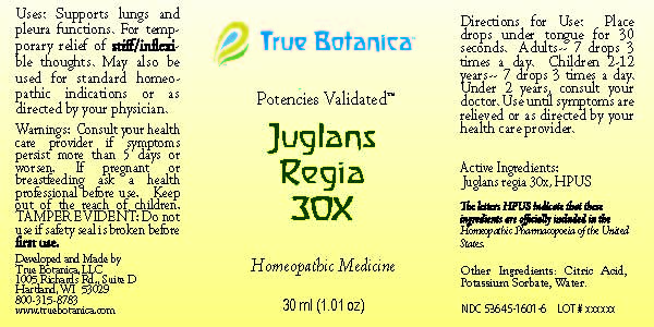 Juglans Regia 30X_30ml_V1