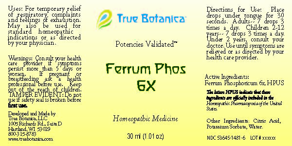 Ferrum Phos 6X_30ml_V1