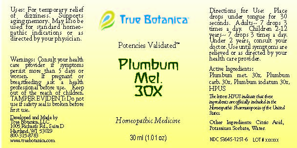 Plumbum Mel 30X_30ml_V1