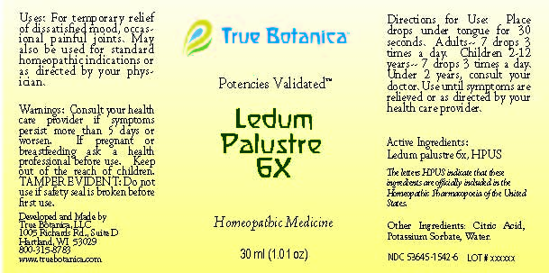 Ledum Palustre 6X_30ml_V1