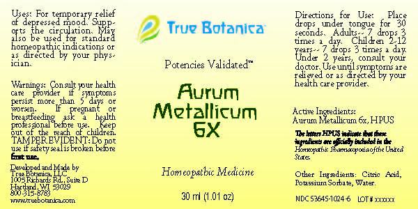 Aurum Metallicum 6X_30ml_V1