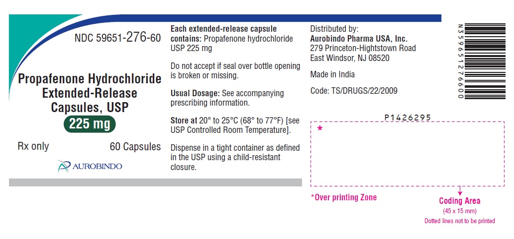 PACKAGE LABEL-PRINCIPAL DISPLAY PANEL - 225 mg (60 Capsules Bottle)