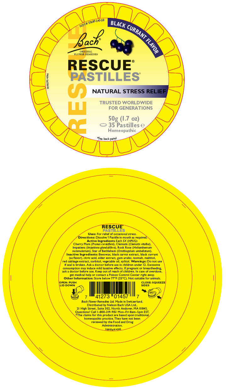 PRINCIPAL DISPLAY PANEL - 50 g Pastille Container Label
