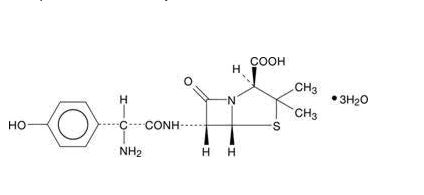 amoxstructure