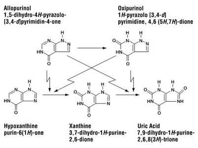 PRINCIPAL DISPLAY PANEL