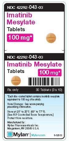 Imatinib Mesylate 100 mg Tablets Unit Carton Label