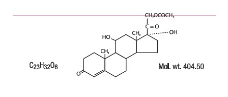 Chemical Makeup