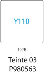 Y110