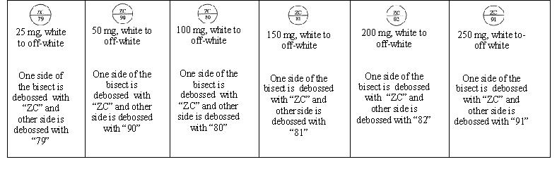 Lamotrigine Tablet Descriptions