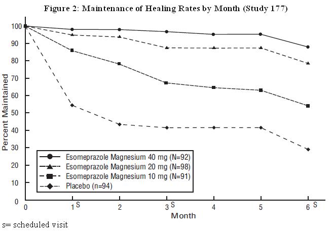 Figure 2: Maintenance of Healing Rates of EE in Adults by Month (Study 177)