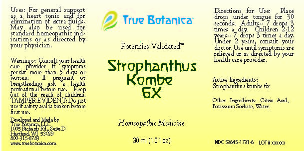 Strophanthus Kombe 6X_30ml_V1